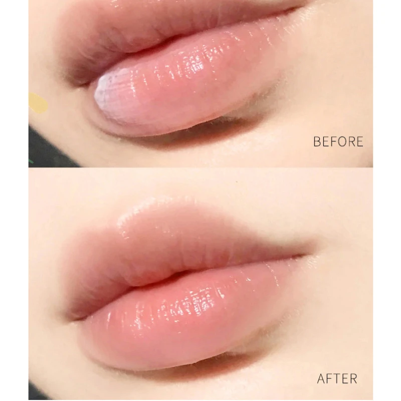 1pc planta natural bálsamo lab - Lip Tint Korean avaliação e preço